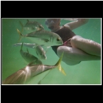 xel_ha_194_snorkel_Georgi_fish.jpg